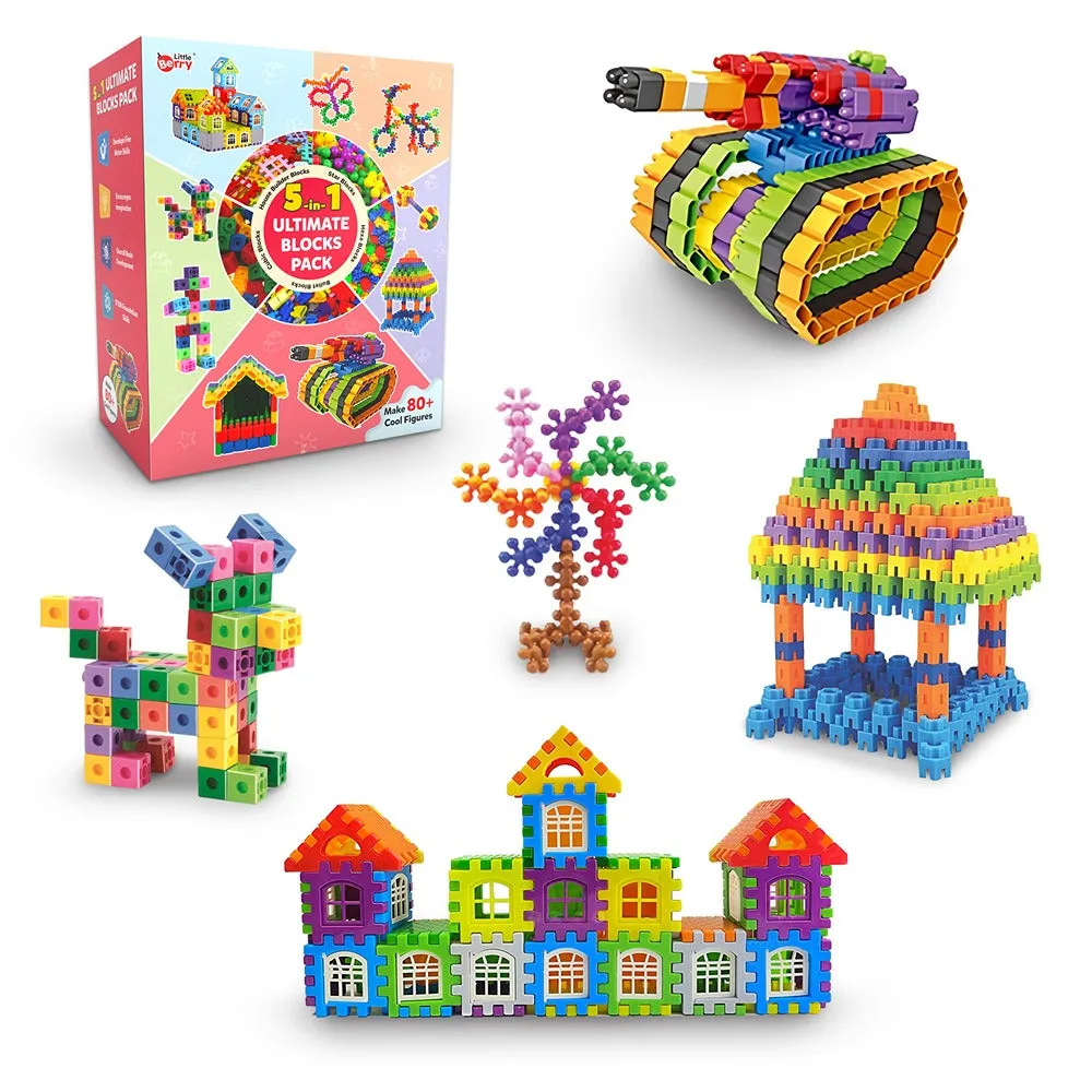 5-in-1 Ultimate Building Blocks Set - Education & Learning Blocks (250  pcs)