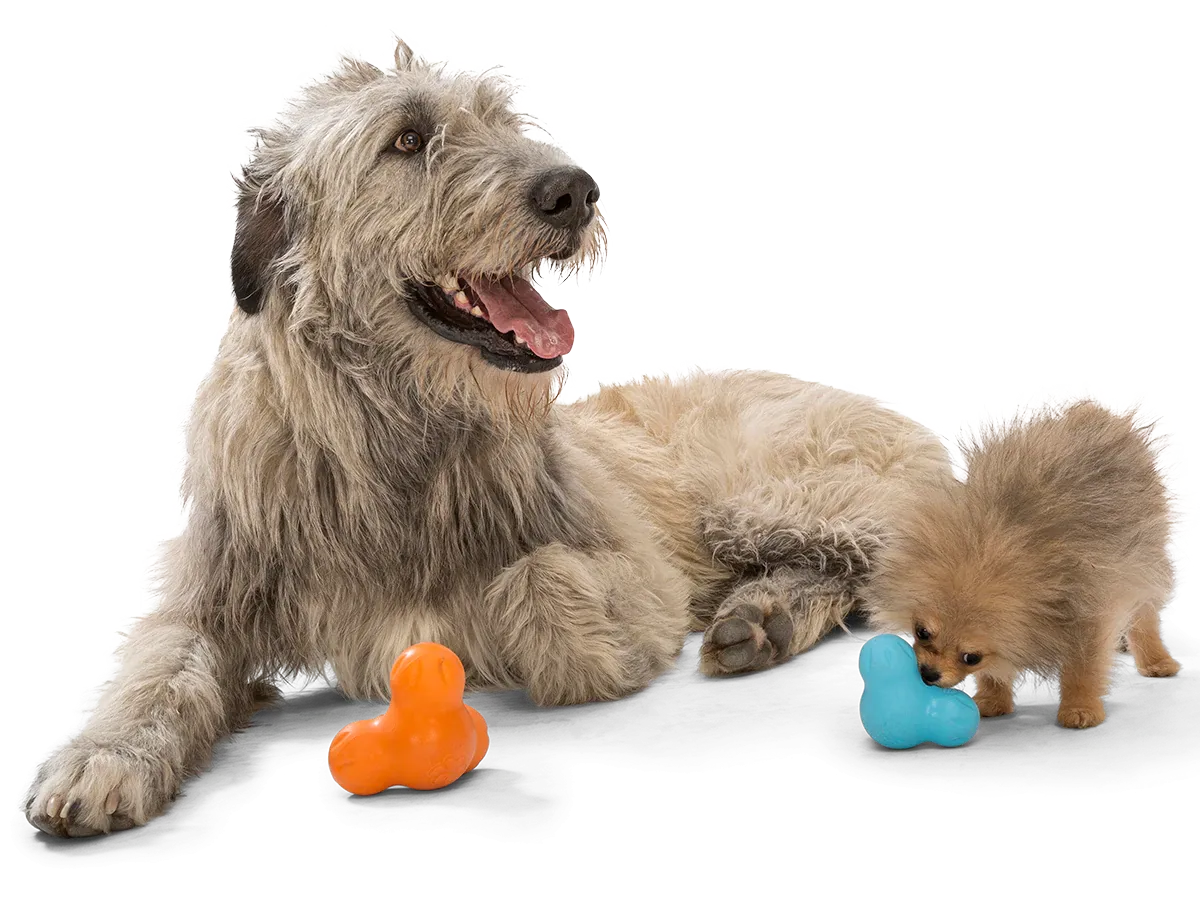 Interactive puzzle, food-dispensing dog toy, Zogoflex Tux