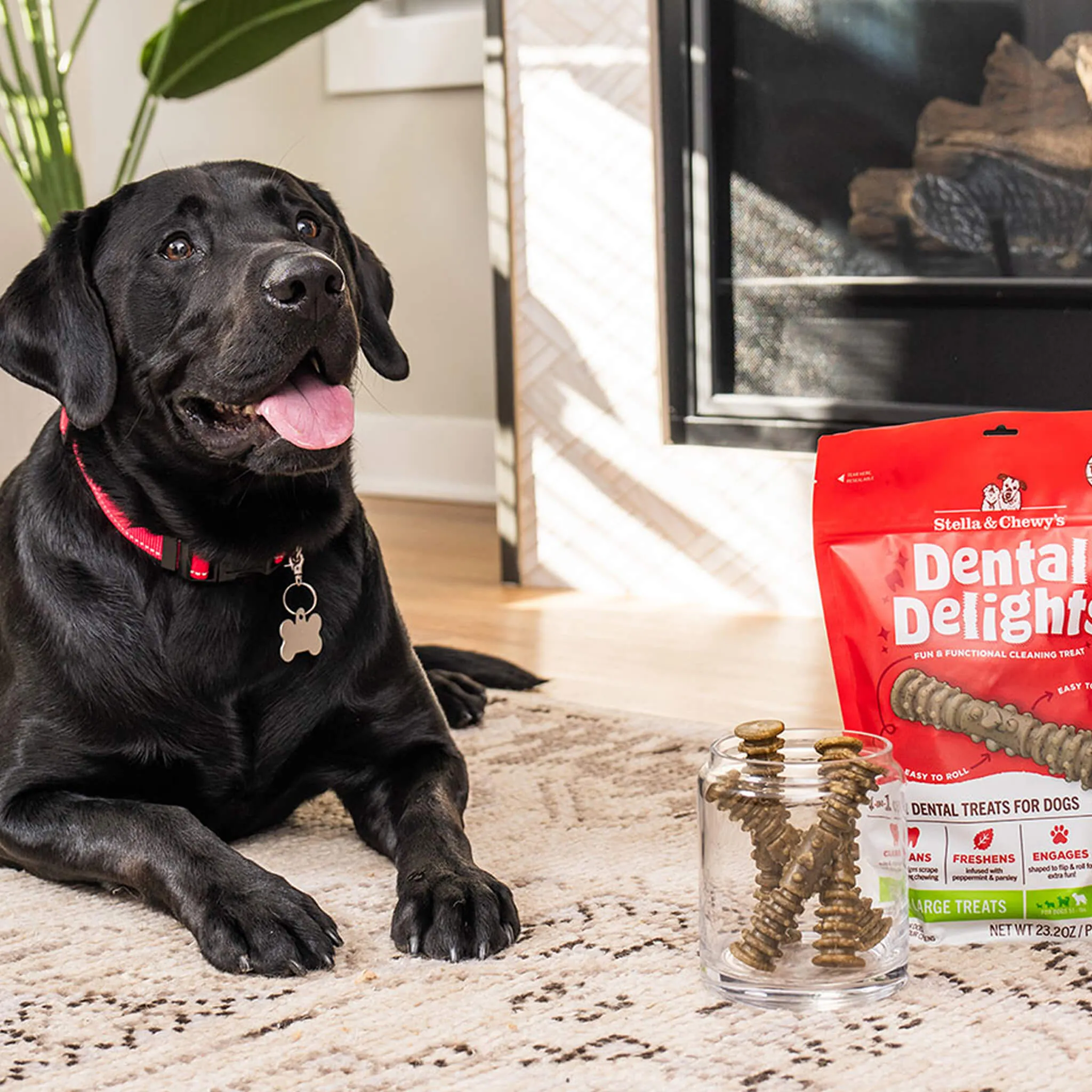 Stella & Chewy's Dental Delights for Dogs