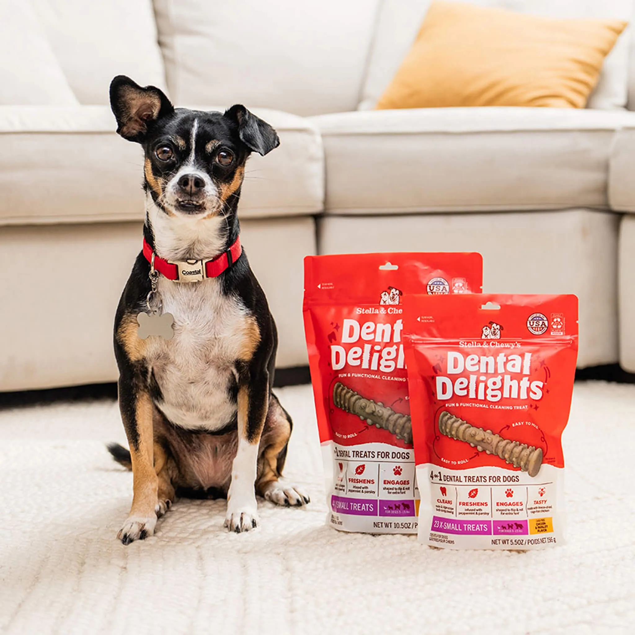 Stella & Chewy's Dental Delights for Dogs